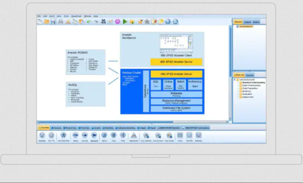 IBM SPSS Analytic Server